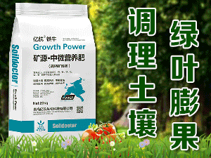 ɽ�|�ǵ�ʩ���r�I�Ƽ����޹�˾