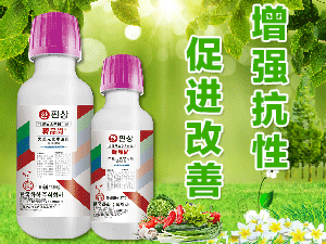 �n���n�ѻ��W��ʽ����