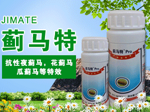 ʯ���f�G��������Ƽ����޹�˾