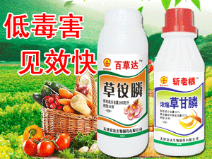 ����_����Ƽ����޹�˾