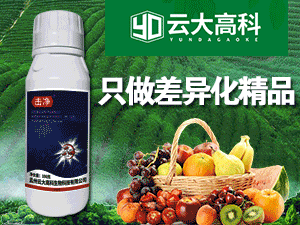 �����ƴ�߿�����Ƽ����޹�˾