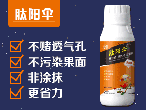 ̩����H�r�����޹�˾