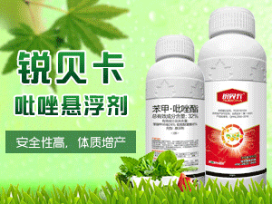 ���K�����r�����о����޹�˾