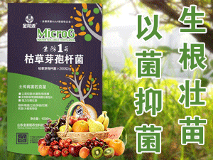 ɽ�|�������r�I�Ƽ��_�l���޹�˾