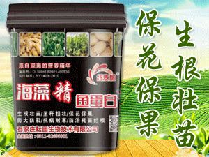 ʯ���f�������＼�g���޹�˾