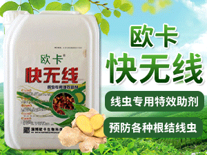 �Ͳ��W������Ƽ����޹�˾