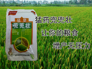 ��h�����r�I�Ƽ����޹�˾