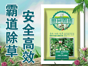 �������g�Ե��r�I�Ƽ����޹�˾