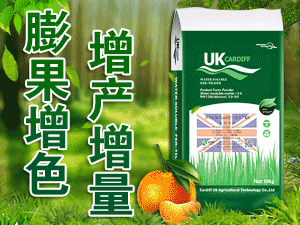 Ӣ�����Ϸ򱱾��r�I�Ƽ����޹�˾