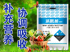 ƽ�ɽ����֮�G�r���ﱣ�o���޹�˾