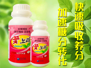 �V�݃���˼�r�I���g���޹�˾