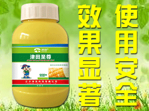 �|������Ƽ����޹�˾