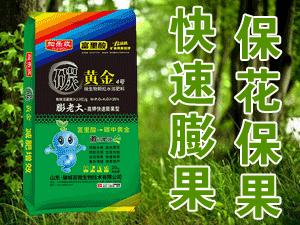 ɽ�|���������＼�g���޹�˾