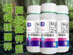 �����֠����r(n��ng)�I(y��)�Ƽ����޹�˾