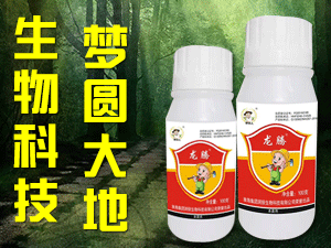 �����I���r�I�Ƽ����޹�˾