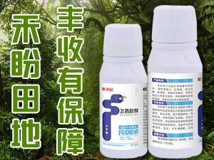 �Ϻ������r�I�Ƽ����޹�˾