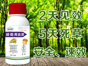 �����L�p�P���ﱣ�o���޹�˾