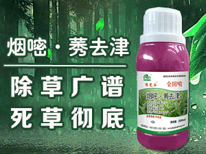 ���r���ﱣ�o���޹�˾