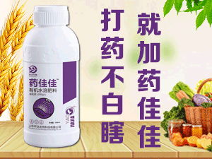 ɽ�|܎�_����Ƽ����޹�˾