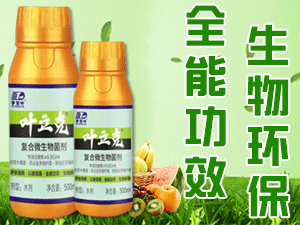 �������~����Ƽ����޹�˾