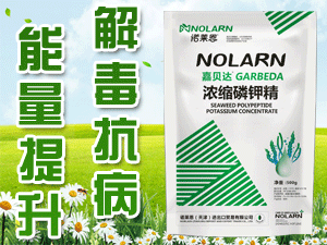 �Z�R��������M�����Q�����޹�˾