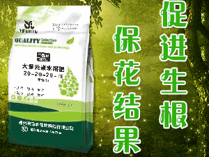 ����Ӣ�����Ƽ����޹�˾