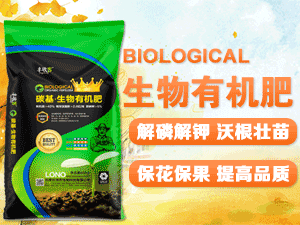 ʯ���f���r����Ƽ����޹�˾