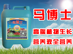 ����R��ʿ����Ƽ������F�����޹�˾