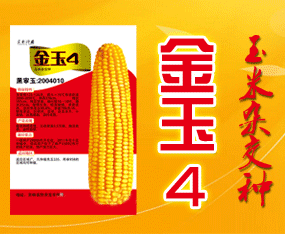 ����ʡ���\�N�I(y��)���޹�˾