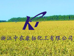 �㽭���r���ػ������޹�˾