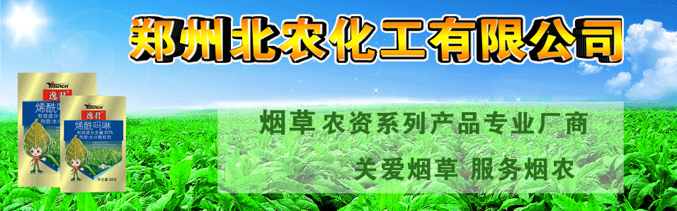 ���ݱ��r�����Ƽ����޹�˾