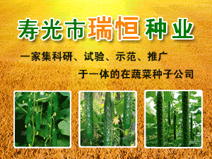 �۹������N�I���޹�˾