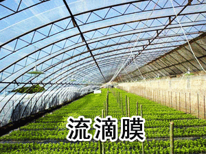 �H�������rĤ���޹�˾