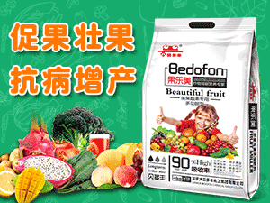 ���ô�ؐ���S�������F���޹�˾