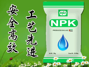 ���ǻ��r���������r�I�lչ���޹�˾