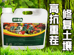 �V���G�~�M�����Q�����޹�˾