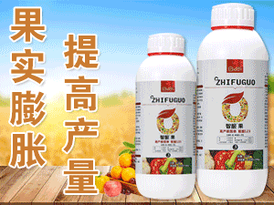 ِ���أ���h������Ƽ����޹�˾