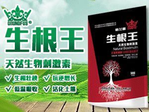 ���R�����B���ϣ��ӱ������޹�˾