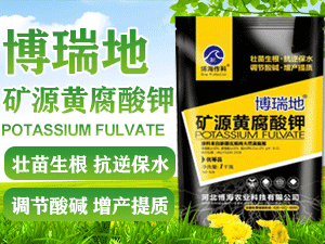 �ӱ������r�I�Ƽ����޹�˾