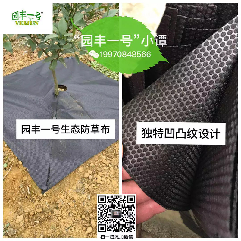 新型可降解园��C����L��态地�?.webp.jpg