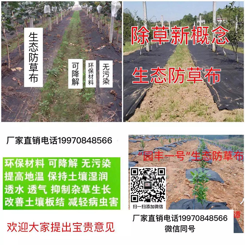 新型可降解园��C����L��态地�?.webp.jpg