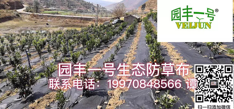 新型可降解园��C����L��态地�?.webp.jpg