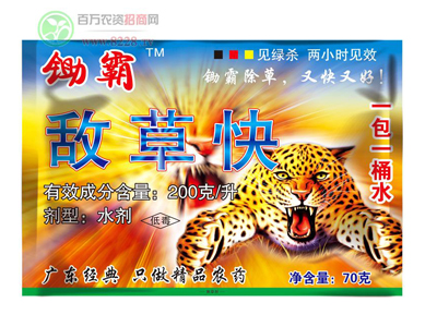 �ܿچ�������gӭ����1.jpg