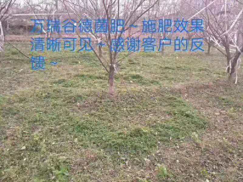 �DƬ2.jpg