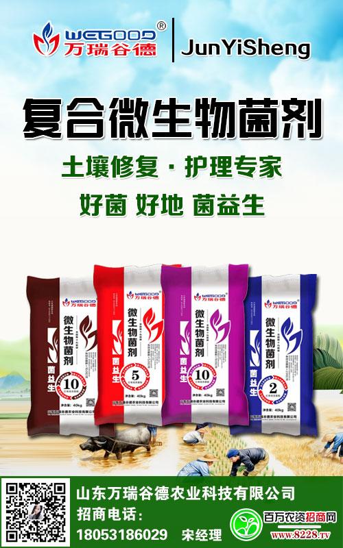 囄���2.jpg