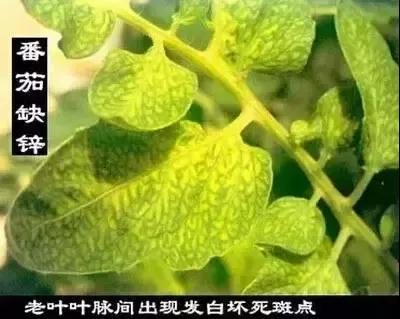 ΢�ňDƬ_20211218094408.jpg