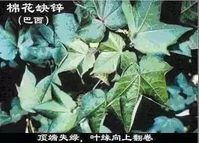 ΢�ňDƬ_20211218094415.jpg