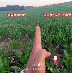 ΢�ňDƬ_20220705142404.png