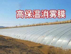 �׿ɶ�߱������FĤ