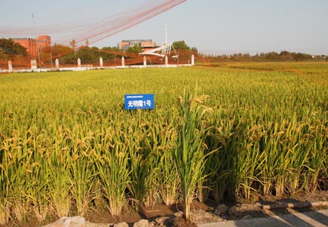 �~�����՝��N�����޹�˾